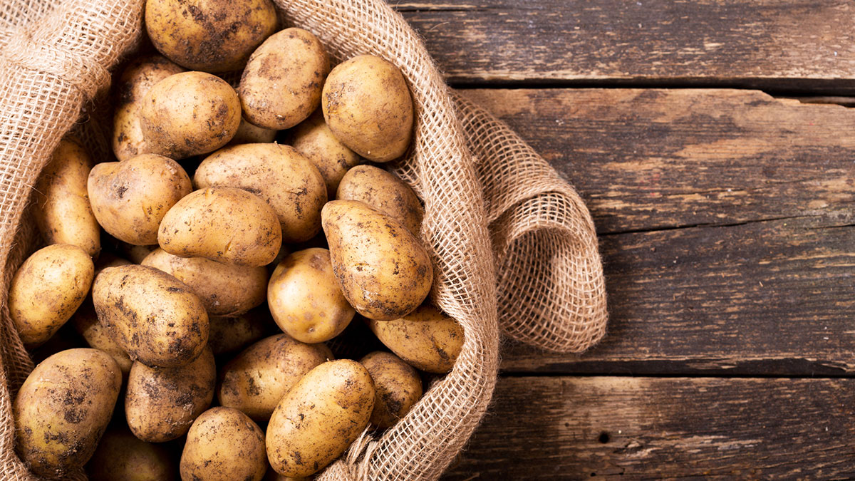 Miniatura ogłoszenia